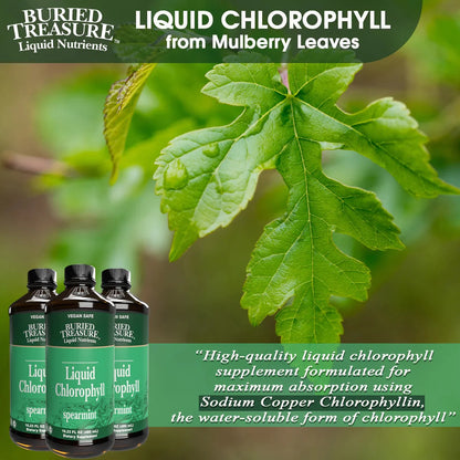 Liquid Chlorophyll