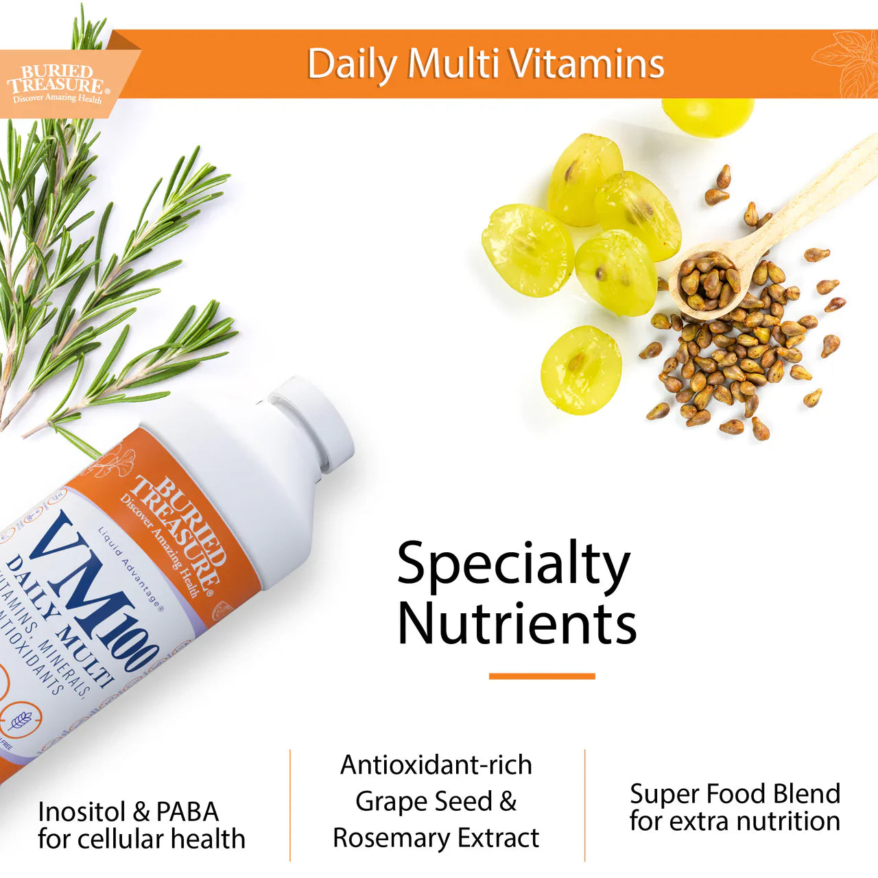 VM-100 Daily Liquid Vitamin & Mineral Supplement